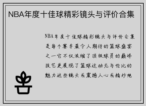 NBA年度十佳球精彩镜头与评价合集